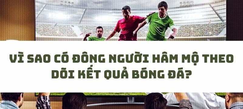 Kết quả bóng đá Bongdalu | Xem kqbd Bongdalu nhanh nhất 29 Vì sao người hâm mộ theo dõi kết quả bóng đá tại Bongdalu