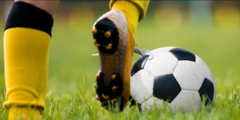 Tỷ lệ kèo Bongdalu | Tỷ lệ kèo nhà cái bóng đá hôm nay 115 Khám phá khái quát về tỷ lệ kèo tại Bongdalu