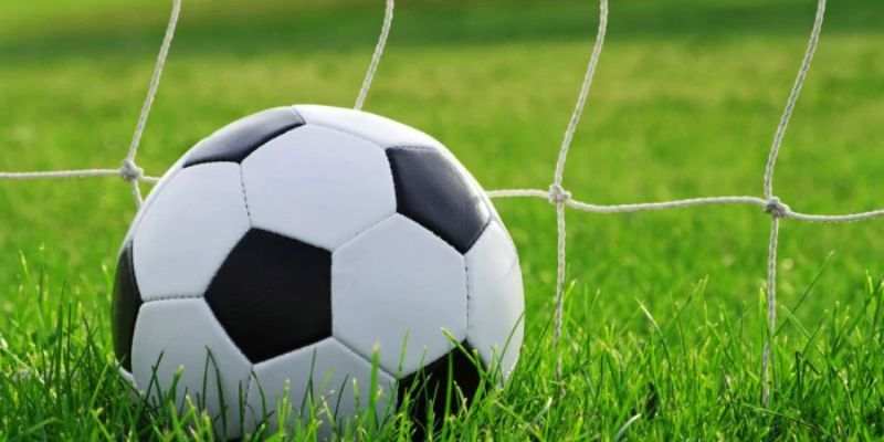 Tỷ số bóng đá Bongdalu | Xem tỷ số bóng đá hôm nay 40 Hướng dẫn theo dõi tỷ số tại trang web